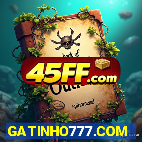 GATINHO777.COM