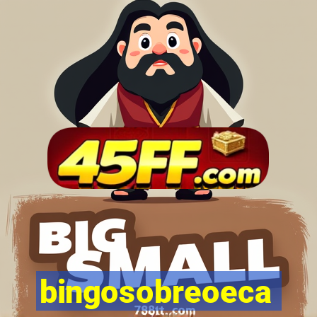 bingosobreoeca