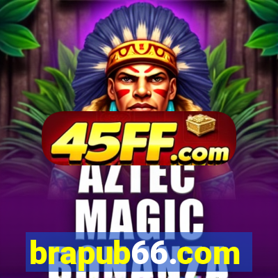 brapub66.com