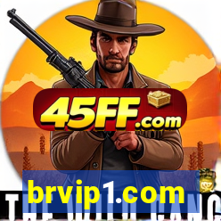brvip1.com