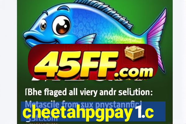 cheetahpgpay1.com