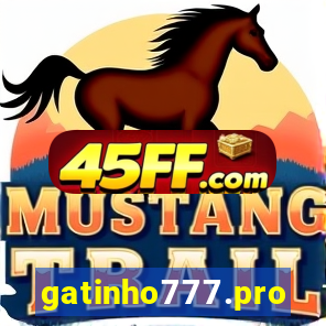 gatinho777.pro