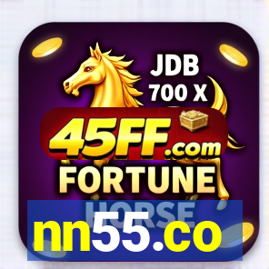 nn55.co