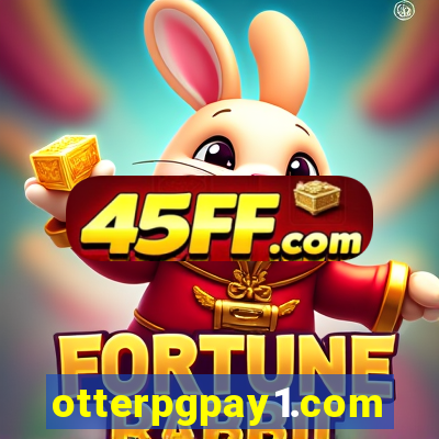 otterpgpay1.com