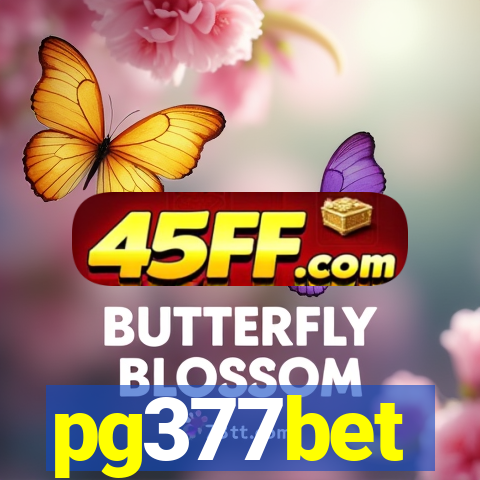 pg377bet