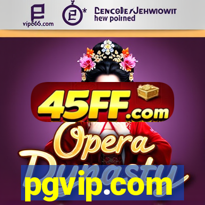 pgvip.com
