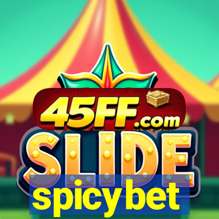 spicybet-4.com