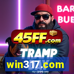 win317.com