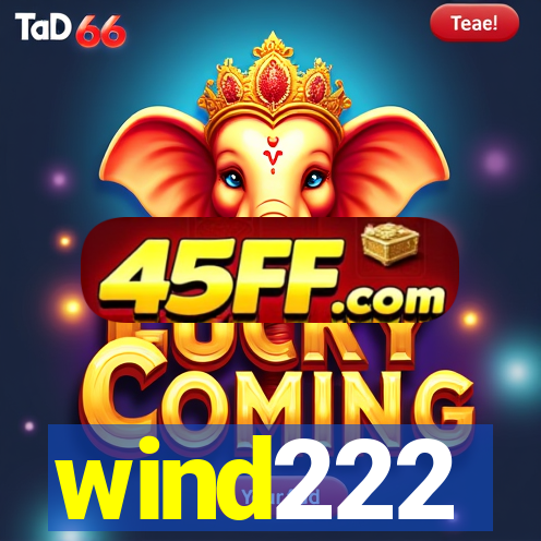 wind222